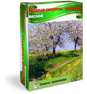 Видеокурс